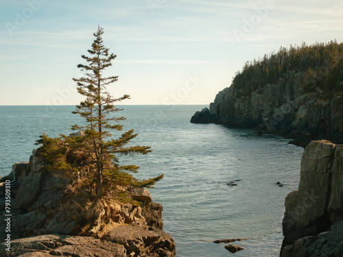 Cliffs at Quoddy Head State Park, Lubec, Maine photo
