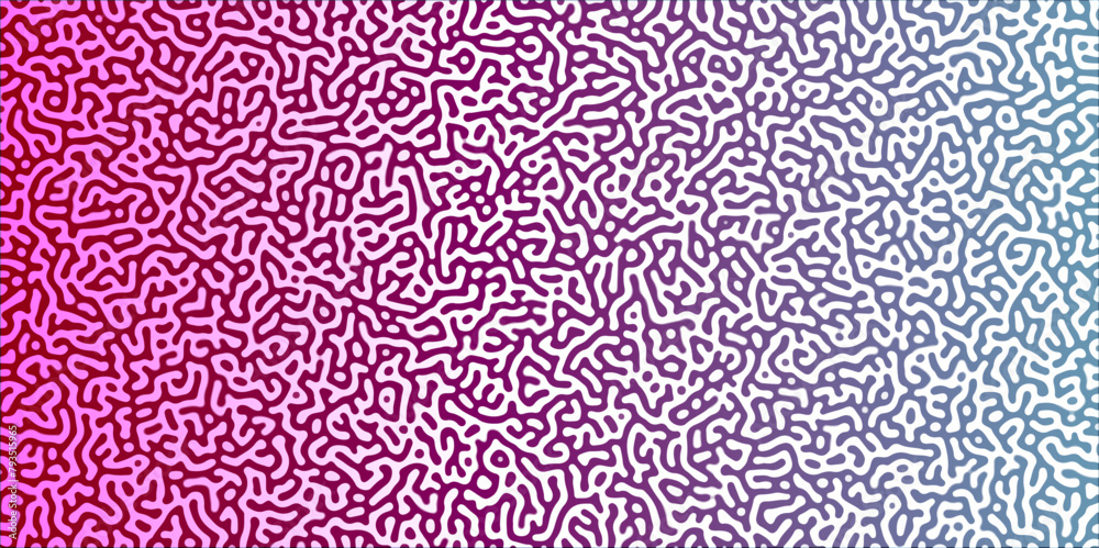 Fototapeta premium Gradient noise line abstract spread geometric background. Monochrome Turing reaction background. Abstract diffusion pattern with chaotic shapes. Vector illustration