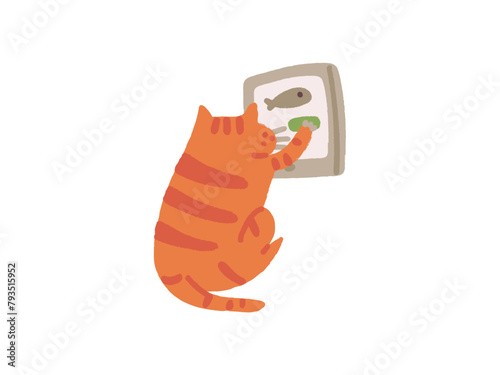 Cat ordering fish online