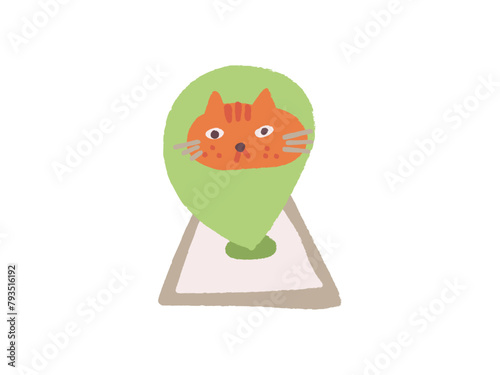 Cat's location access