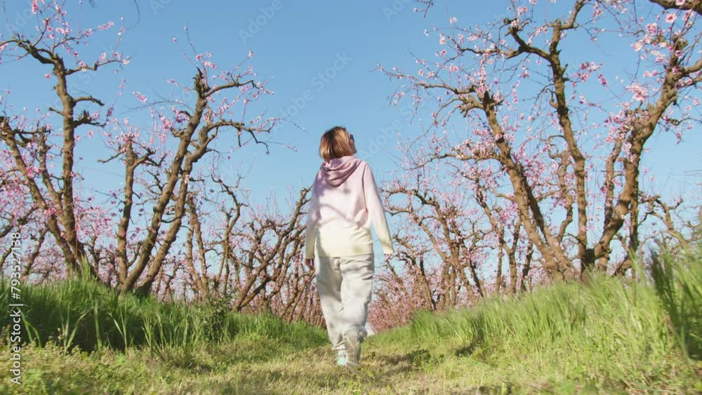 Spectacular blooming orchards on a journey within Californian countryside. Young, active girl enjoys natural beauty of remote garden full of tiny pink petals. High quality 4k footage Spectacular blooming orchards on a journey within Californian countryside. Young, active girl enjoys natural beauty of remote garden full of tiny pink petals. High quality 4k footage