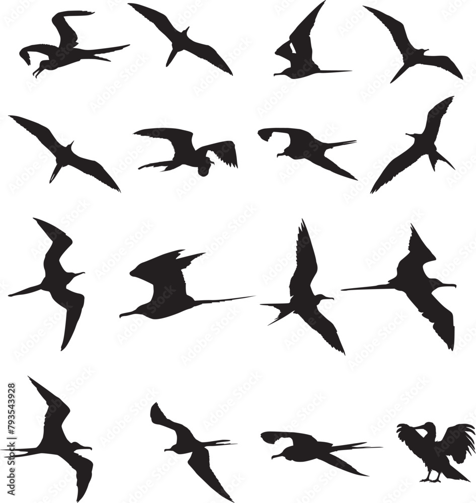 Print Frigate Bird Silhouette; Hawaii Bird EPS; Great Frigate Bird; Iwa Bird; Bundle EPS Clipart; Great Frigate Bird Vector; Ocean Bird
Print Frigate Bird Silhouette; Hawaii Bird EPS; Great Frigate Bird; Iwa Bird; Bundle EPS Clipart; Great Frigate Bird Vector; Ocean Bird