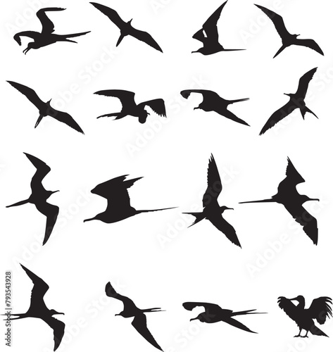 Print  Frigate Bird Silhouette  Hawaii Bird EPS  Great Frigate Bird  Iwa Bird   Bundle EPS Clipart  Great Frigate Bird Vector  Ocean Bird  © Zahirul