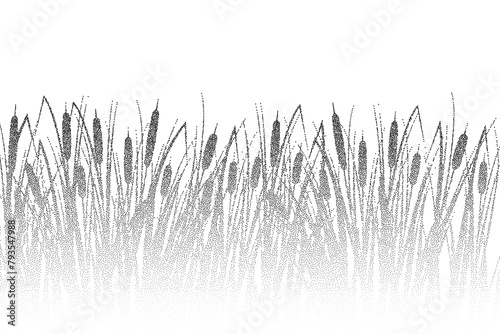 Grass reed stipple silhouette. Vector swamp cattail plants over water, dotted river marsh landscape with shadow. photo