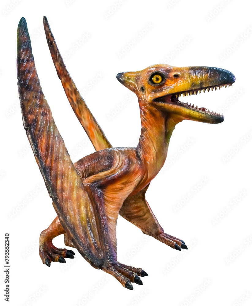 Young Pteranodon is flying. Pteranodon is a genus of Pterosaur and lived during the late Cretaceous period