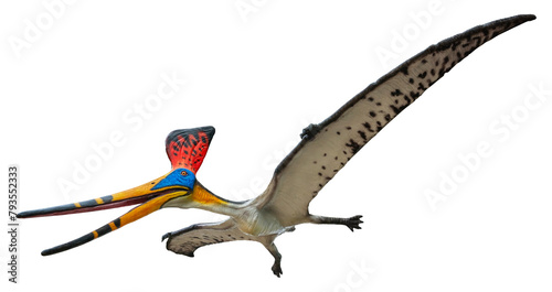 Pteranodon Sternbergi is an extinct genus of pteranodontid pterodactyloid pterosaur from the Late Cretaceous geological period