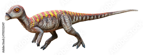 Leaellynasaura is a genus of small herbivorous ornithischian dinosaurs from the Albian stage of the Early Cretaceous