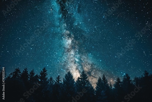Scenic view of milky way over trees at night © aqsa