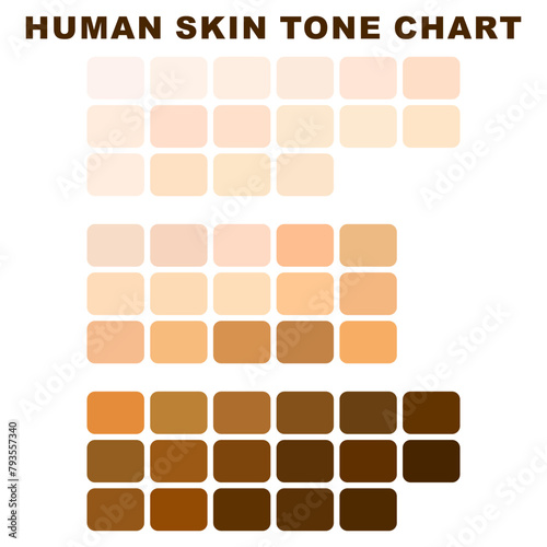 Collection Color palette chart, Skin tones. Flat illustration. Skin color infographics. Vector icon. Human skin tone. Abstract concept person face,body complexion graphic element for cosmetics. Health
