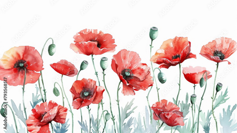 Fototapeta premium Artistic rendering of poppies in bloom, suited for botanical education and artistry.