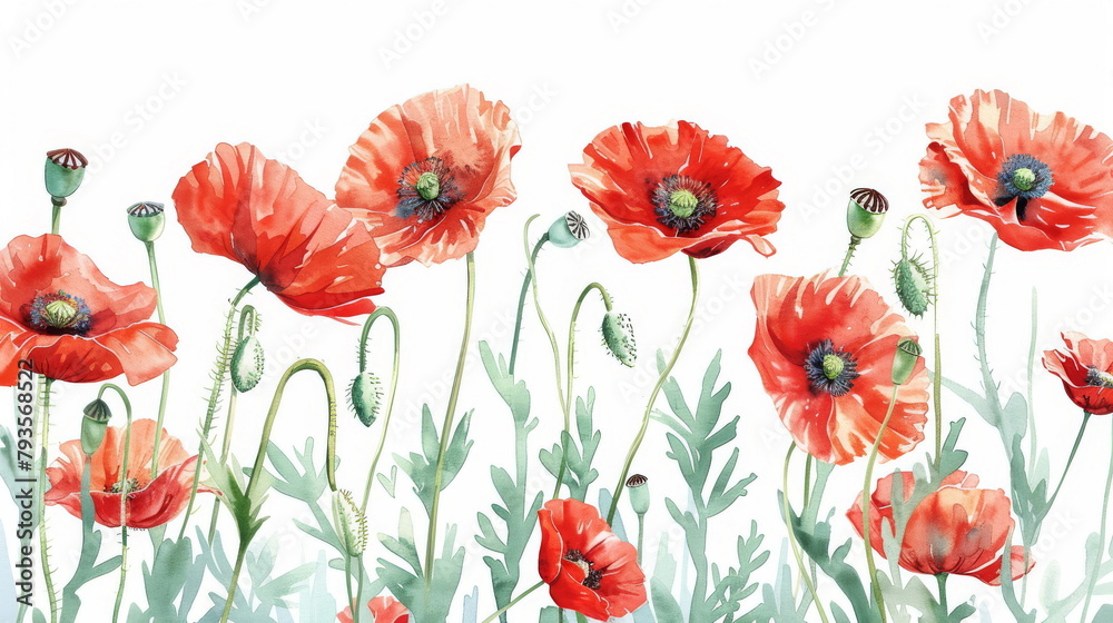 Fototapeta premium Vivid watercolor poppies with lush greenery, ideal for spring and botanical themes.