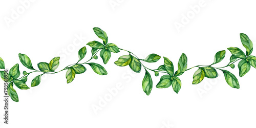 Garland Sprigs Green Juicy Basil. Seamless Pattern. Watercolor Illustration. For Menus, Cookbooks, Recipes, Dishes, Cafe Business Cards, Packaging, Kitchen Textiles, Cosmetics.