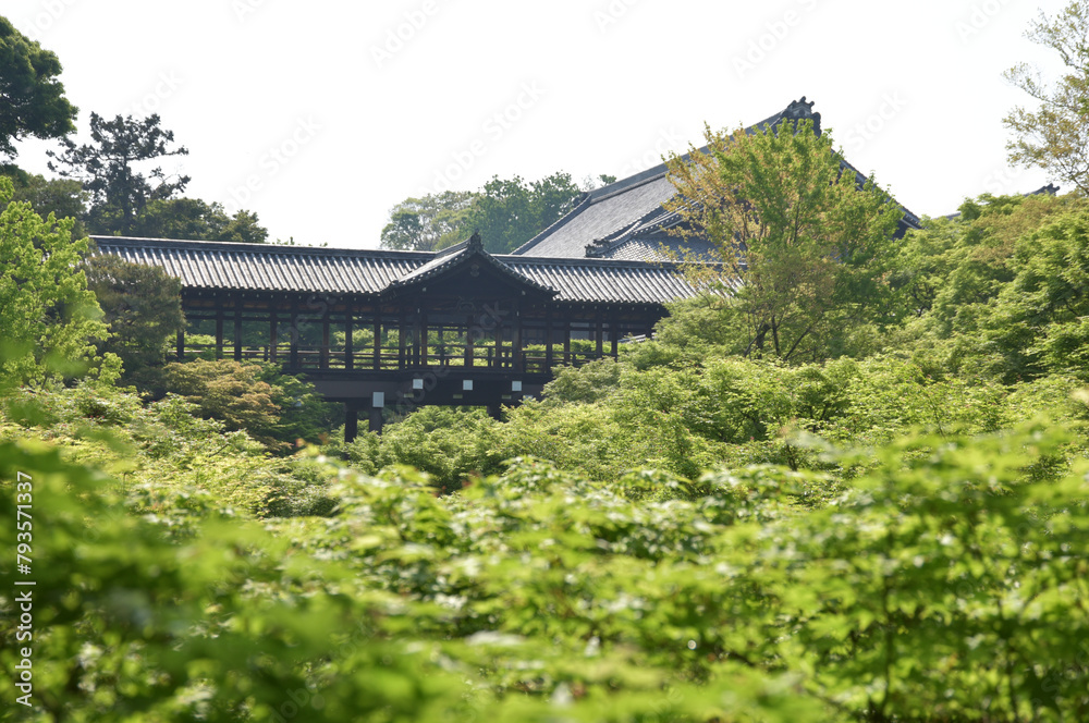 新緑の東福寺　臥雲橋から通天橋を望む　京都市東山区