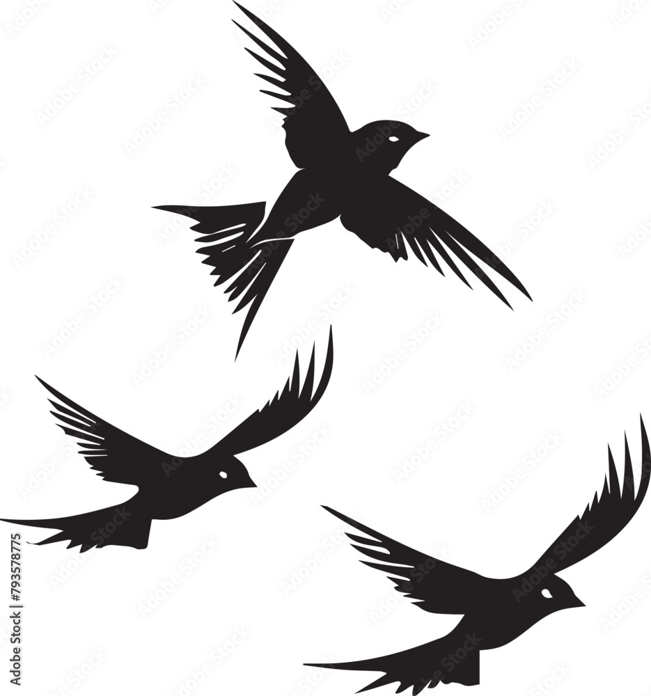 Set of Swallow Birds Flying on white background Set of Swallow Birds Flying on white background