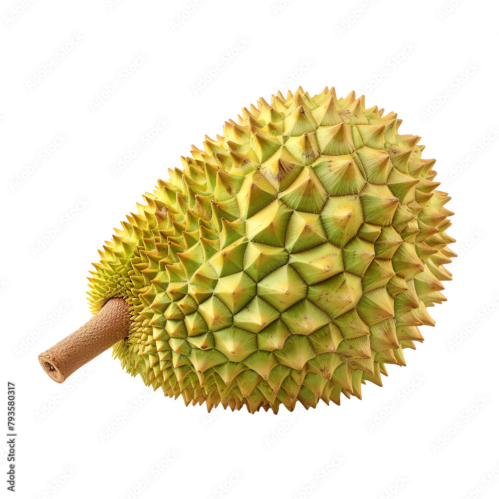 fresh durian transparent photo fresh durian transparent photo