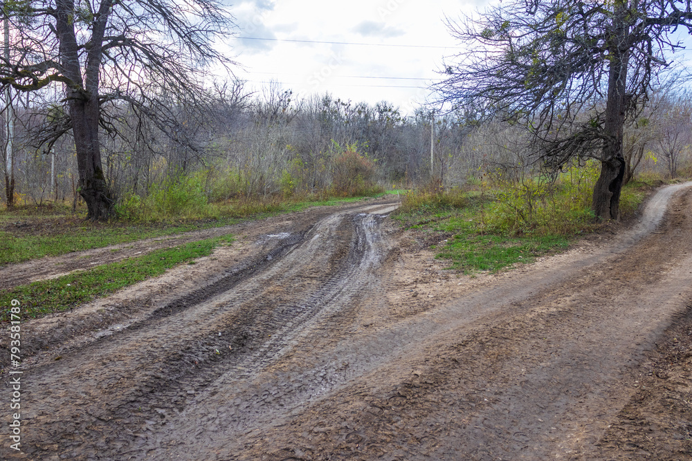 dirt road leading to the forest, autumn condition in nature