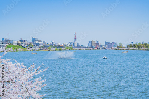 茨城　春の千波湖（水戸市）