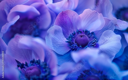 Close-up Ethereal Blue Anemones with Soft Purple Hues and Delicate Petals