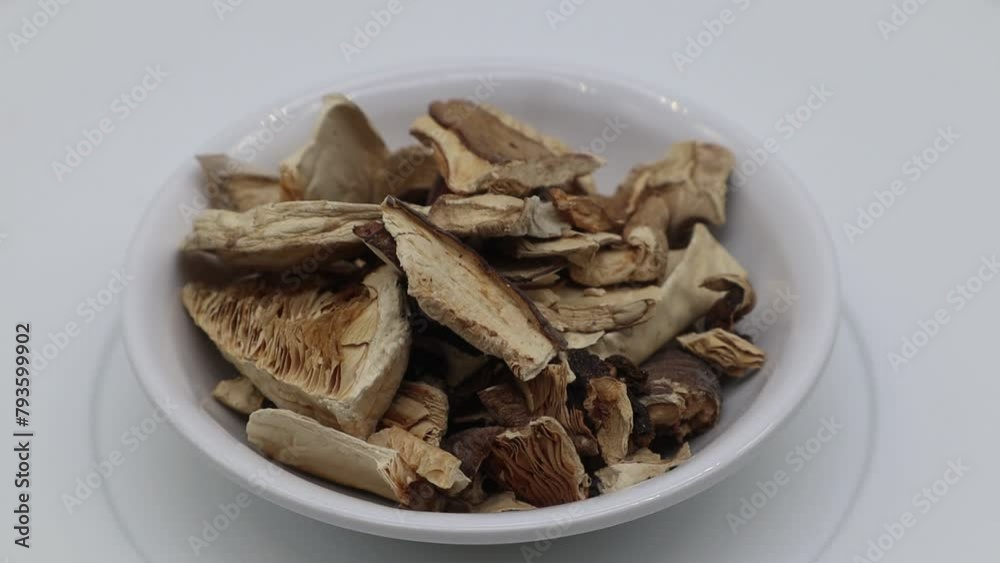 Raw mushrooms on turntable isolated on white Raw mushrooms on turntable isolated on white