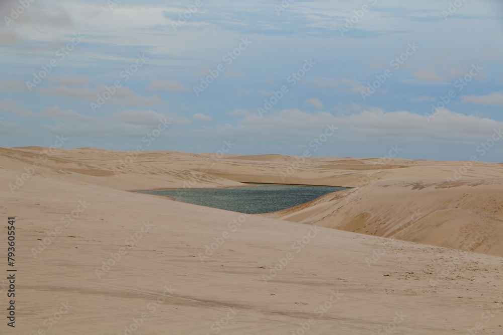 desert and oasis desert and oasis
