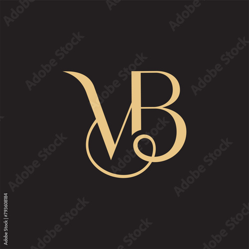 VB, BV, V, B Abstract Letters Logo