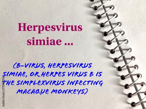 B-virus, Herpesvirus simiae, or Herpes virus B words on note pads. It's the Simplexvirus infecting macaque monkeys. Medical and healthcare conceptional image  photo