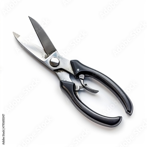 Magnificent Pruning shears  isolated on white background