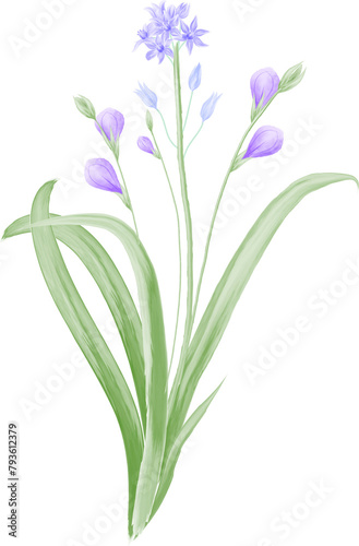 Watercolor illustration of flowers