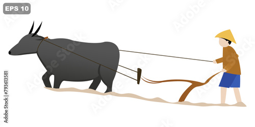 Farmer plowing rice fields using buffalo as a traditional plowing tool with vector design concept. Plowing the fields using buffaloes in the fields