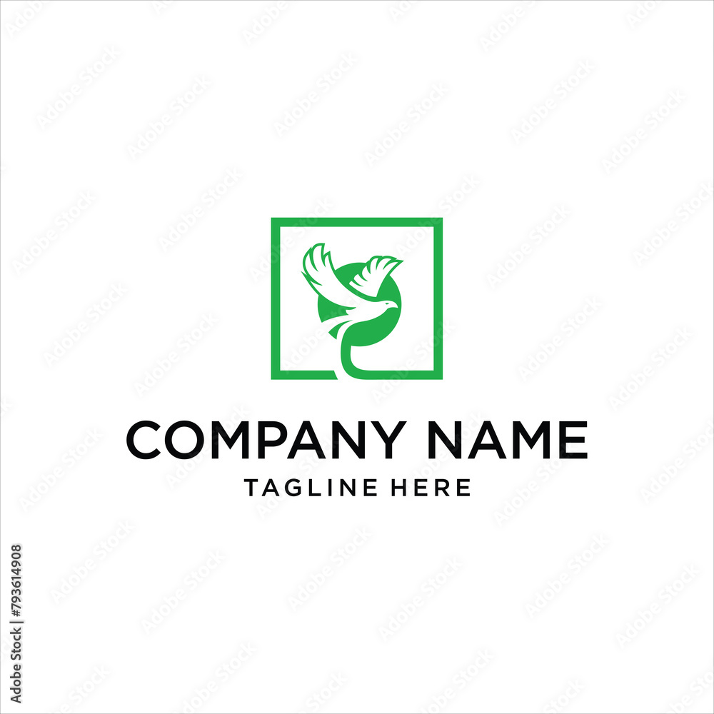 bird and box logo, design inspiration, vector bird and box logo, design inspiration, vector
