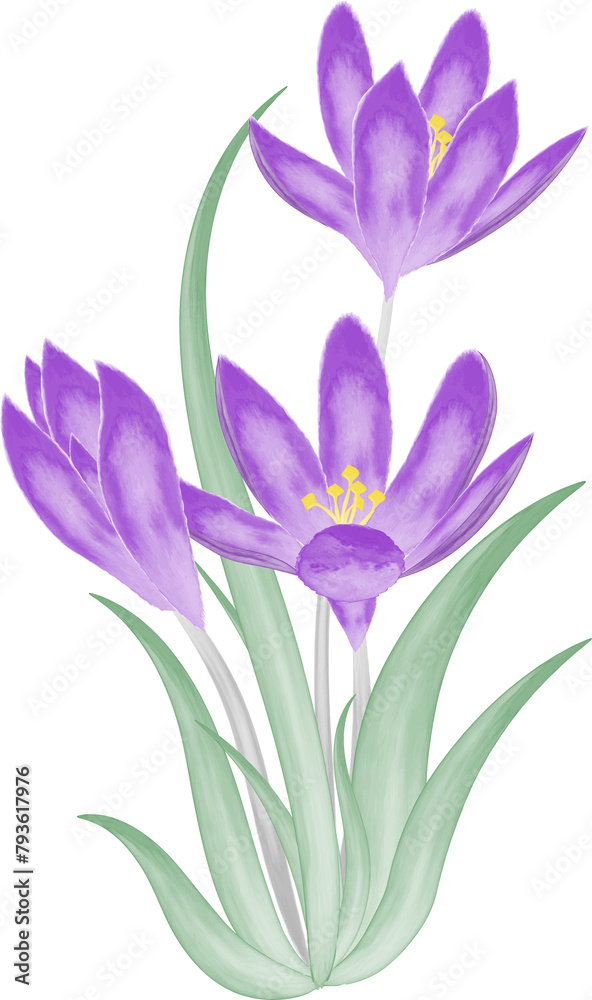 Obraz premium Watercolor illustration of flowers
