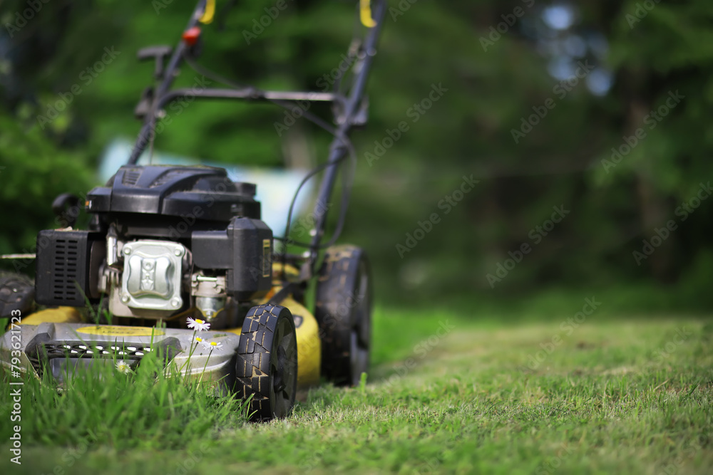 Obraz premium Lawn mover on green grass in modern garden. Machine for cutting lawns.