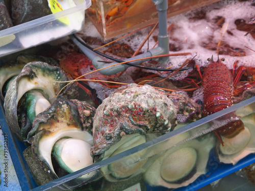 Fresh sazae Green turban shell giant live mollusks and big lobsters in fish tank with water for sale on Makishi fish market, Naha, Okinawa 