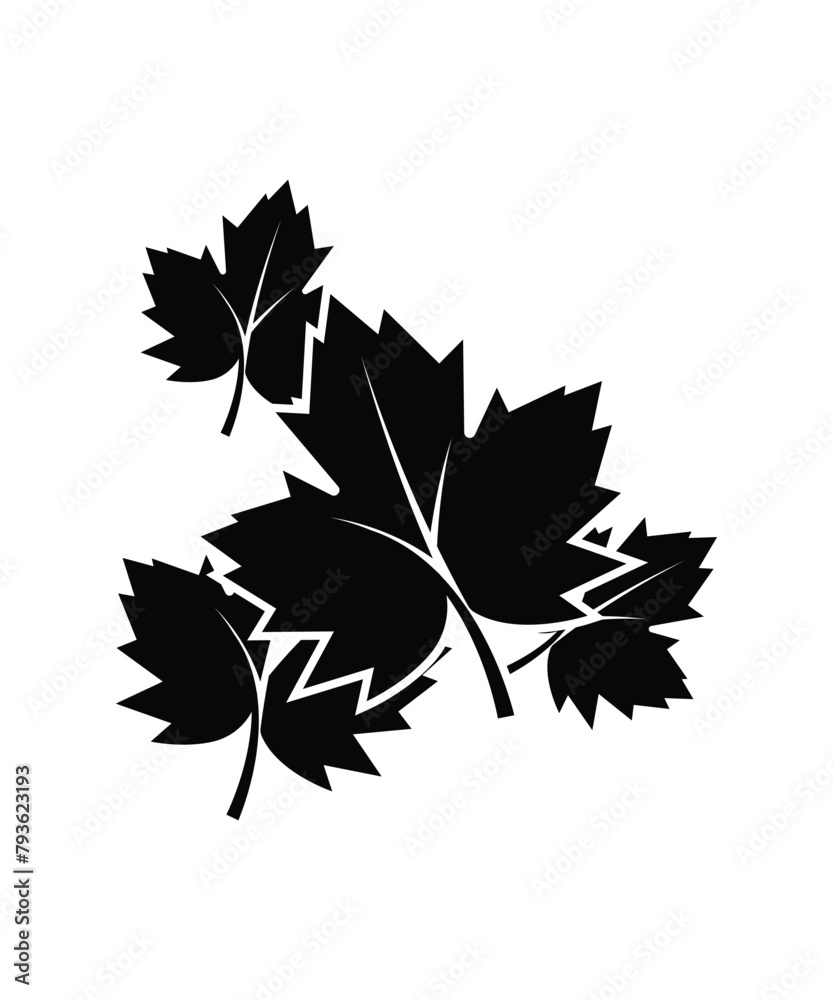Fototapeta premium maple leaves icon, vector best flat icon.