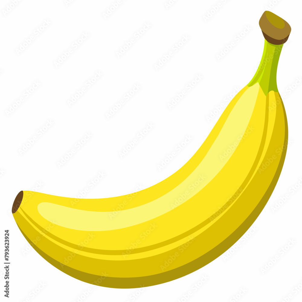 Banana vector illustration (3)