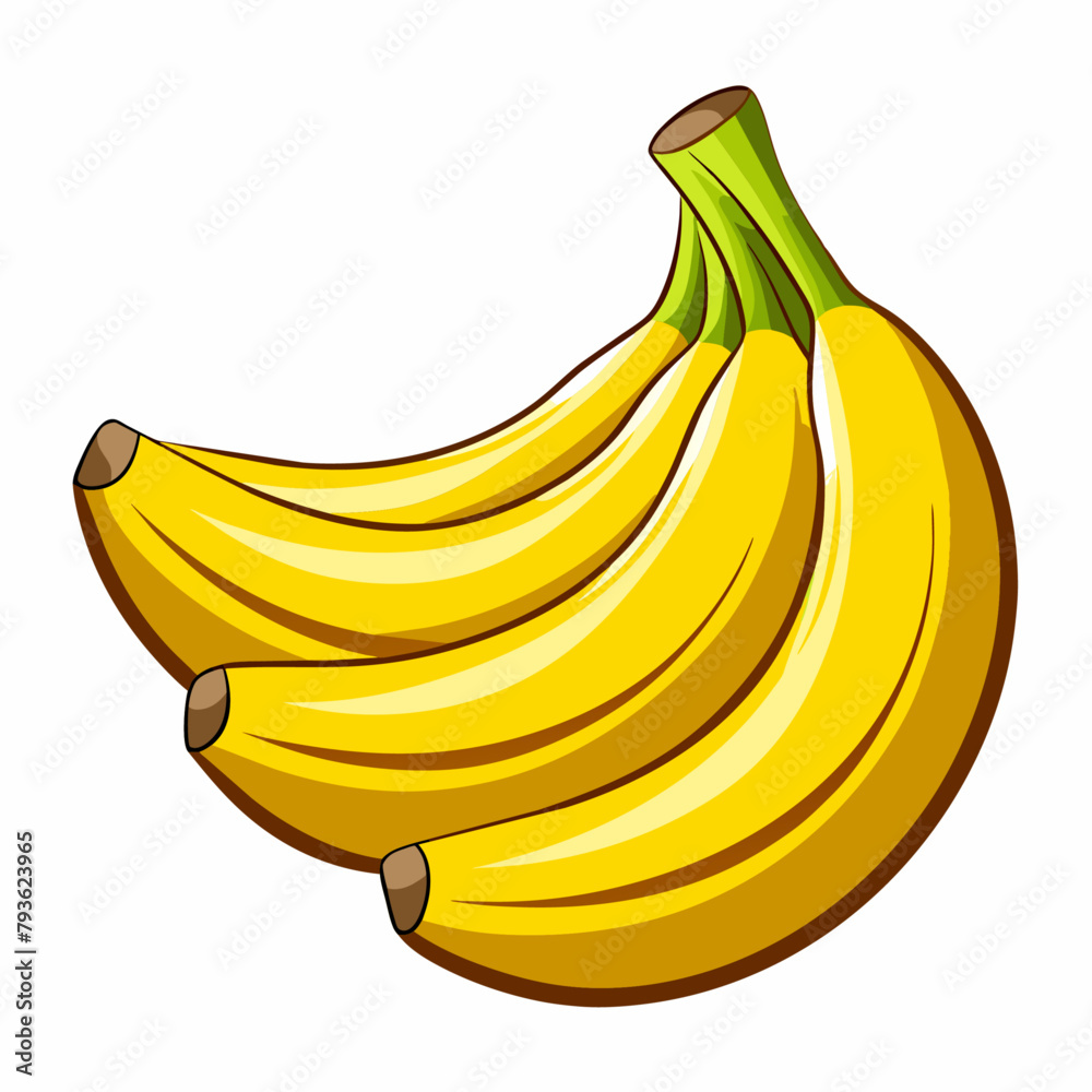 Banana vector illustration (10)