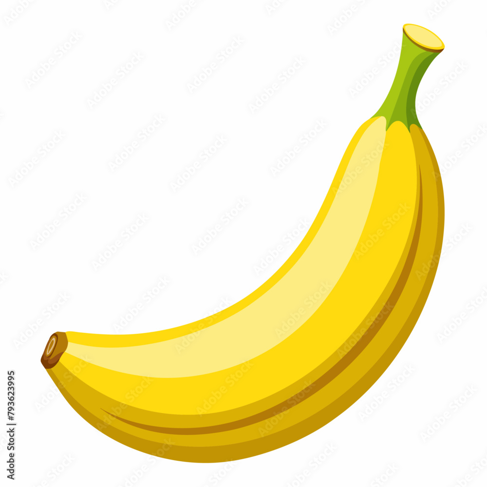 Banana vector illustration (14)