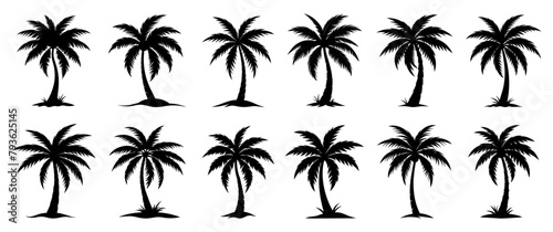 Black palm trees set isolated on white background. Palm silhouettes. Design of palm trees for posters, banners and promotional items. Vector illustration