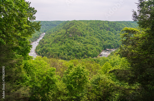 Carnifex Ferry State Park, American Civil War battle site in West Virginia photo