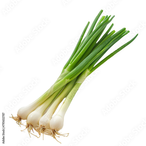 Green onion on transparent background, png	