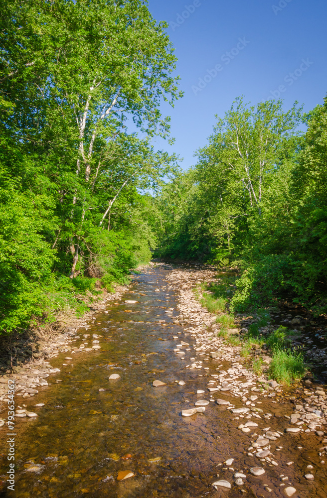 North Fork River at Spruce Knob-Seneca Rocks National Recreation Area, Park in Riverton, West Virginia