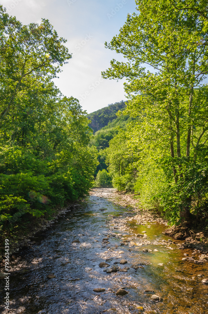 North Fork River at Spruce Knob-Seneca Rocks National Recreation Area, Park in Riverton, West Virginia North Fork River at Spruce Knob-Seneca Rocks National Recreation Area, Park in Riverton, West Virginia