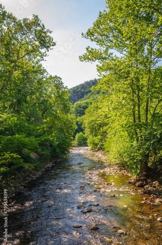 North Fork River at Spruce Knob-Seneca Rocks National Recreation Area, Park in Riverton, West Virginia