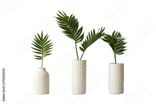 3d illustration of set potted plant isolated on a Transparent background. Generative AI