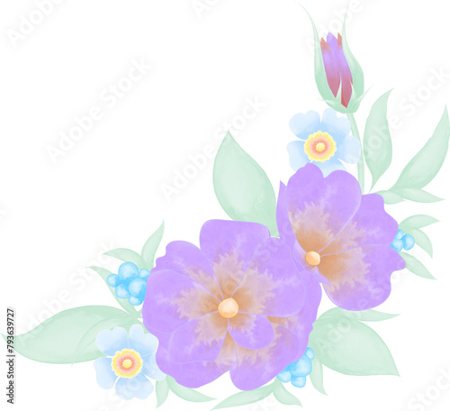 Watercolor illustration of flowers