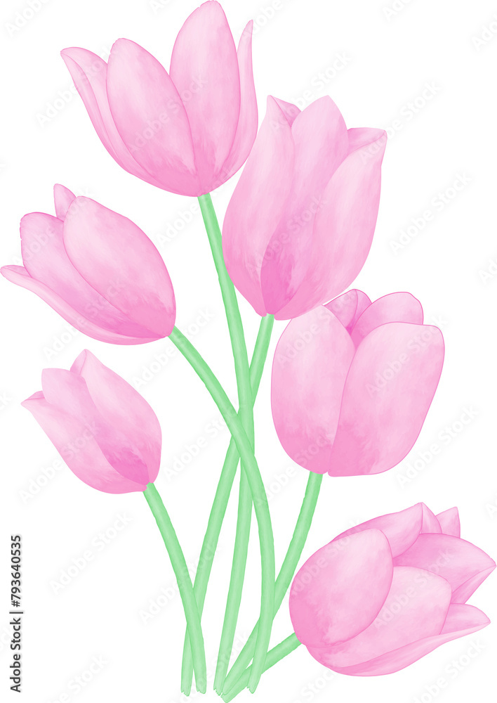 Fototapeta premium Watercolor illustration of flowers