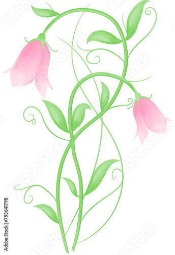 Watercolor illustration of flowers
