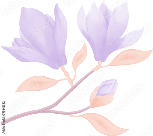 Watercolor illustration of flowers