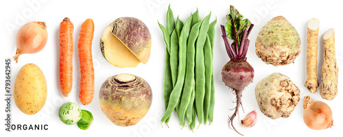 Organic healthy fresh vegetable collection isolated on white background.