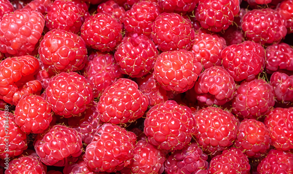Bright red raspberries gather together to fill the frame. Bright red raspberries gather together to fill the frame.